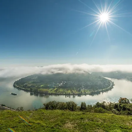 Rhein-suites *